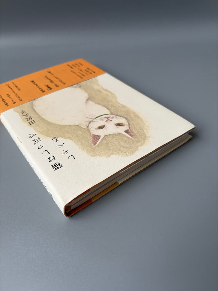 田尻久子「猫はしっぽでしゃべる」