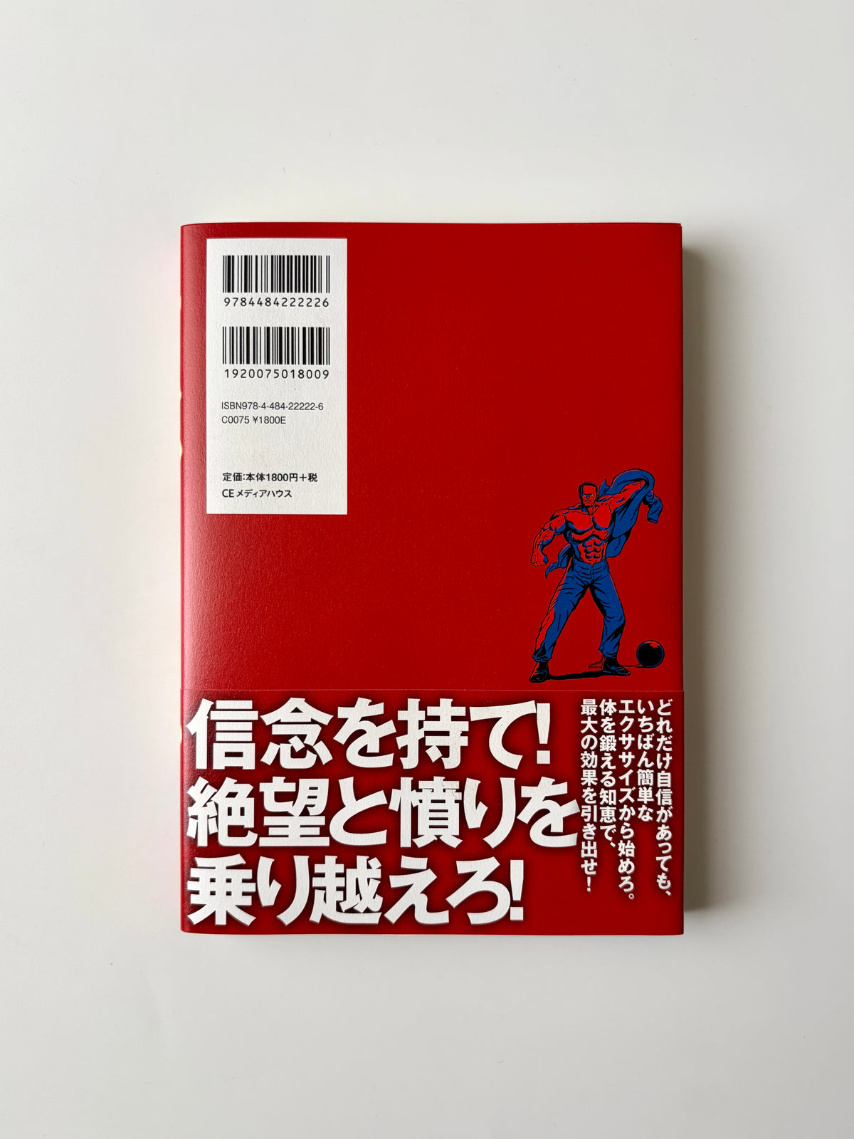 ポール・ウェイド「完全図解版 プリズナートレーニング　自重力で筋力を作る方法のすべて」（3）