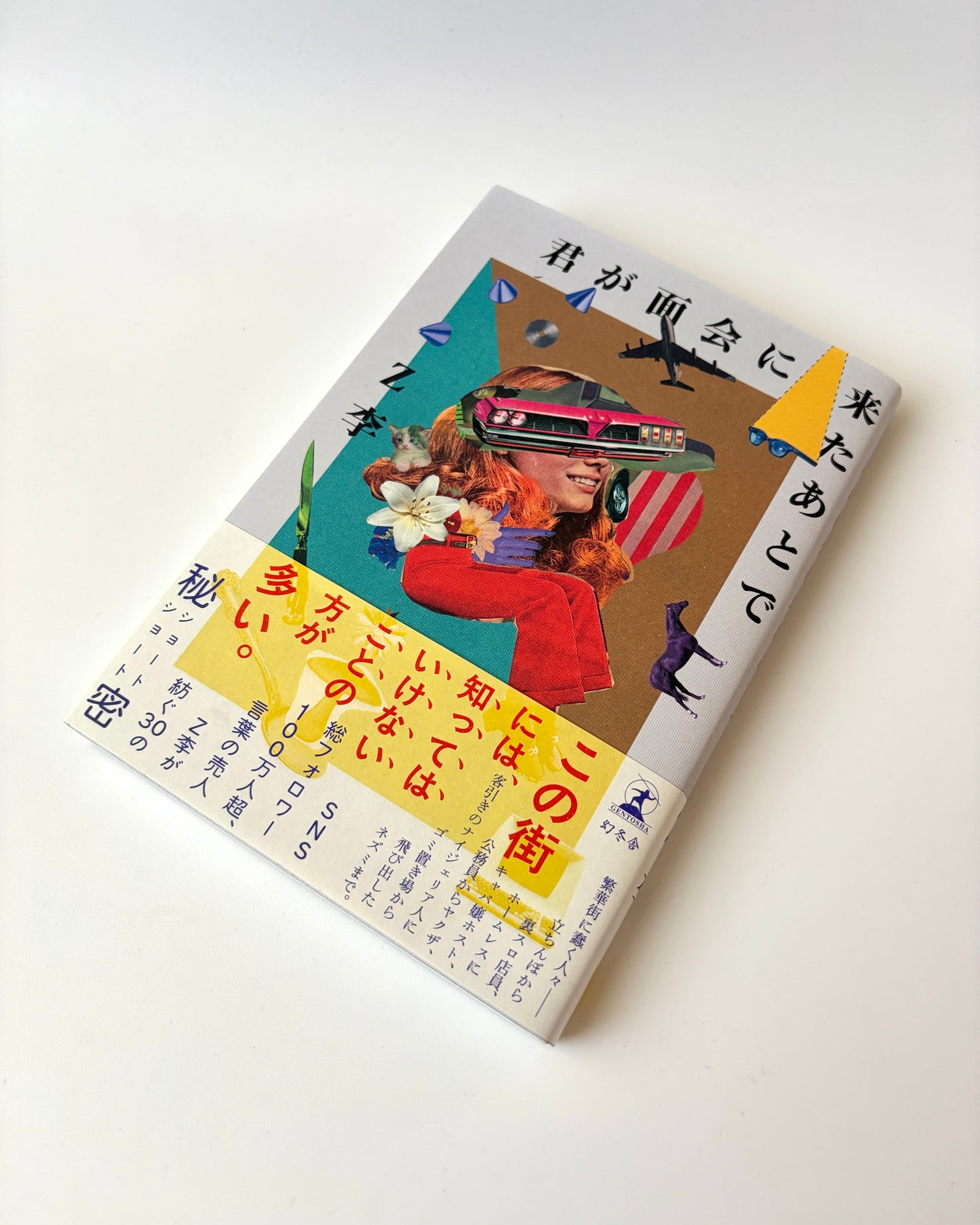 Z李「君が面会に来たあとで」