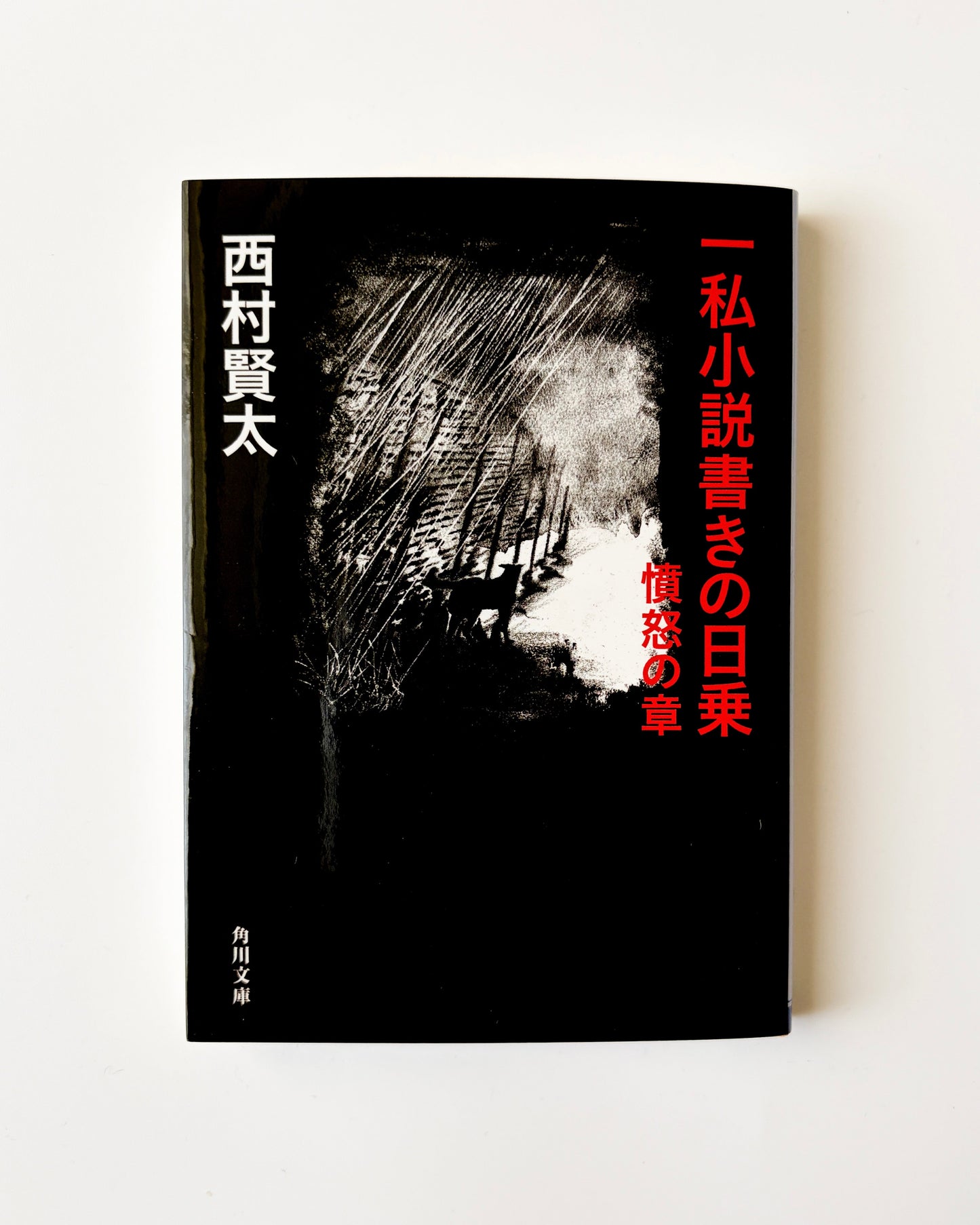 西村 賢太「一私小説書きの日乗 憤怒の章」