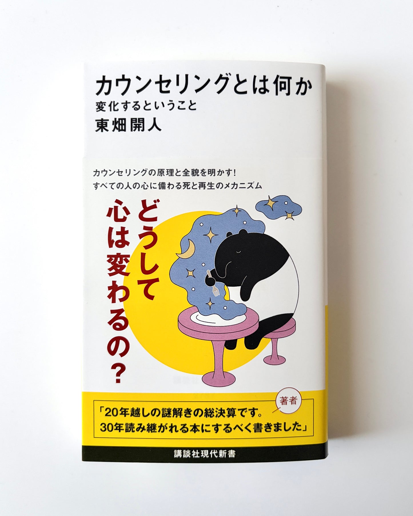 東畑開人「カウンセリングとは何か」