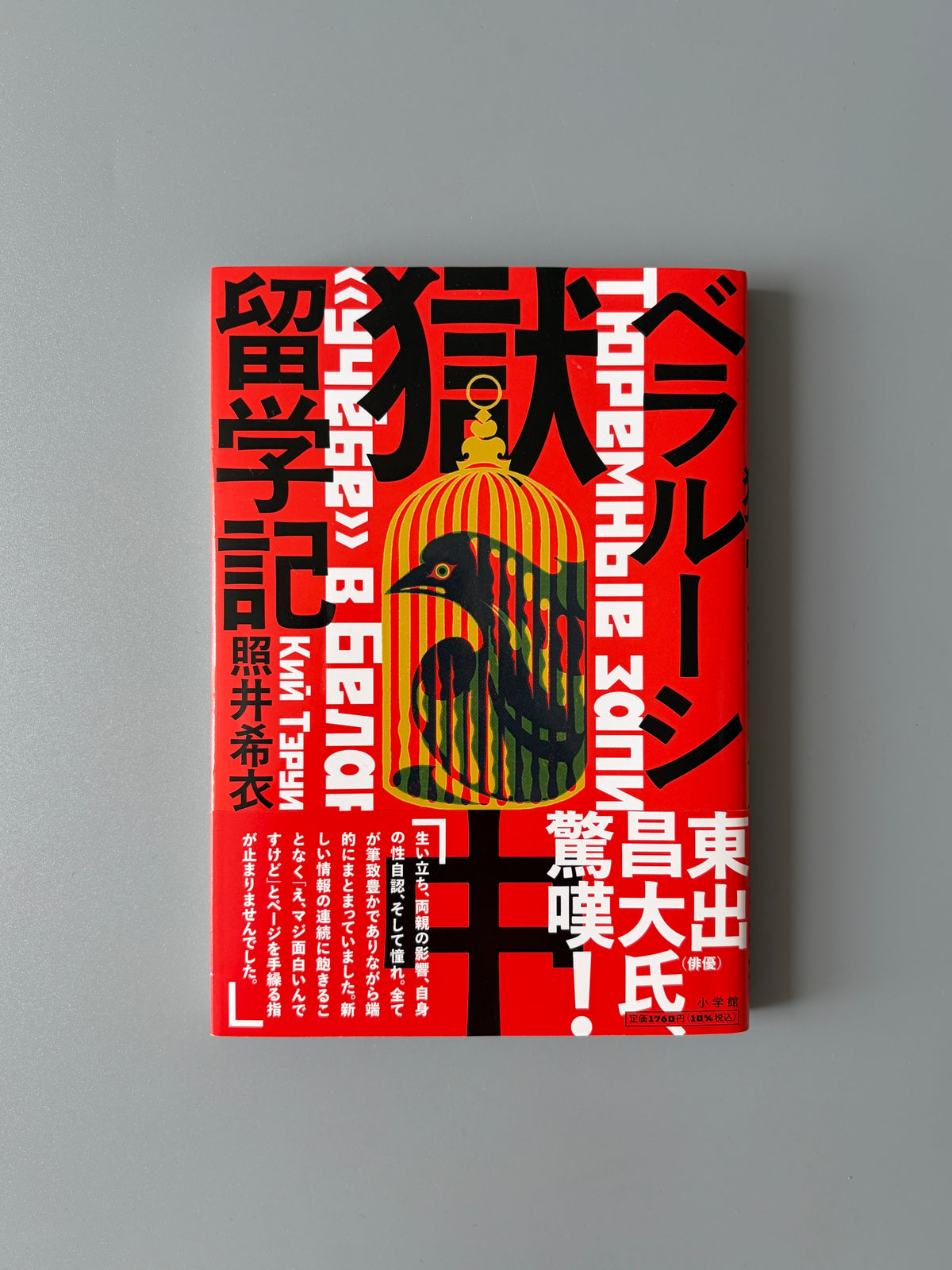 照井希衣「ベラルーシ獄中留学記」