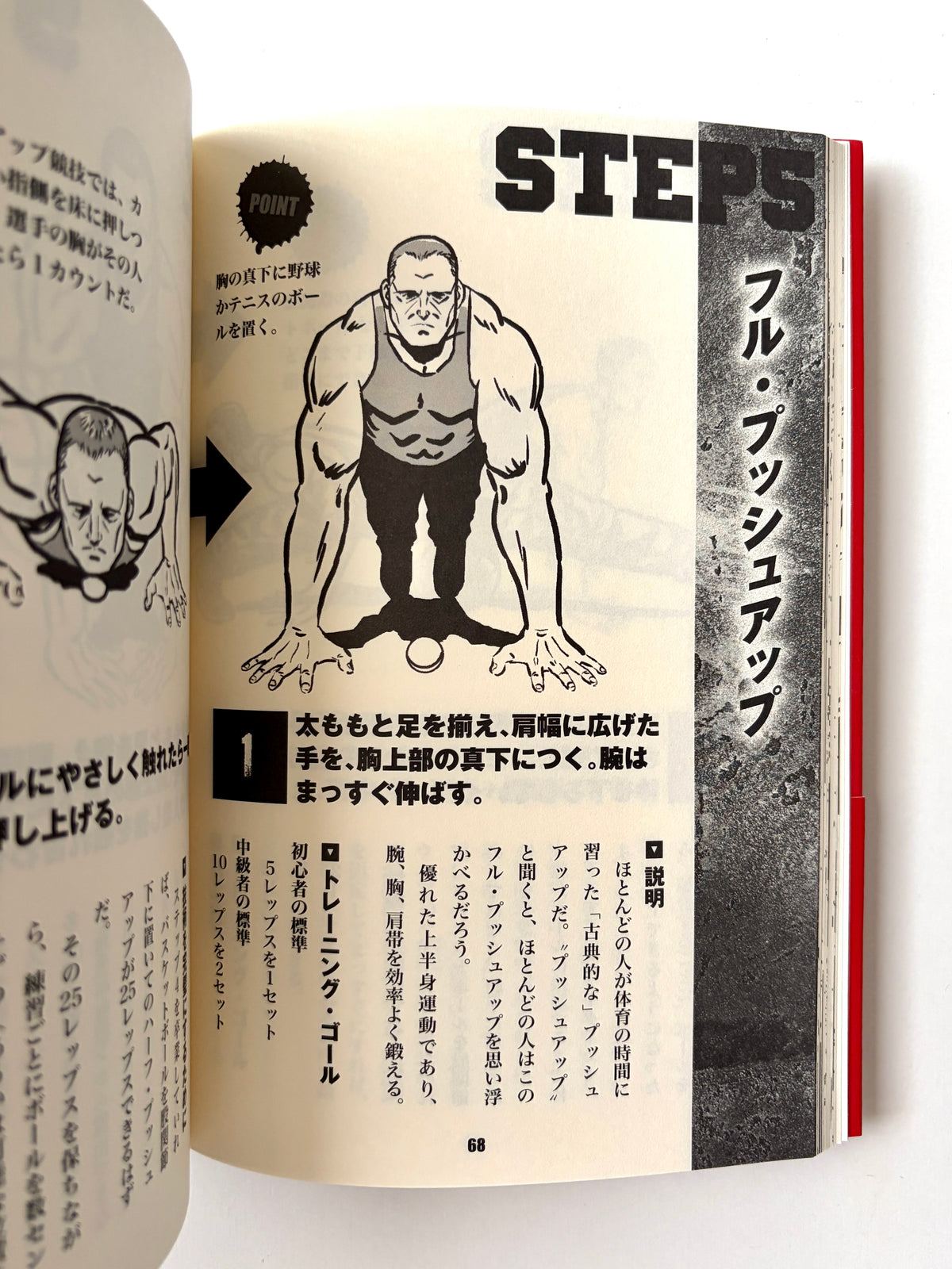 ポール・ウェイド「完全図解版 プリズナートレーニング　自重力で筋力を作る方法のすべて」（6）