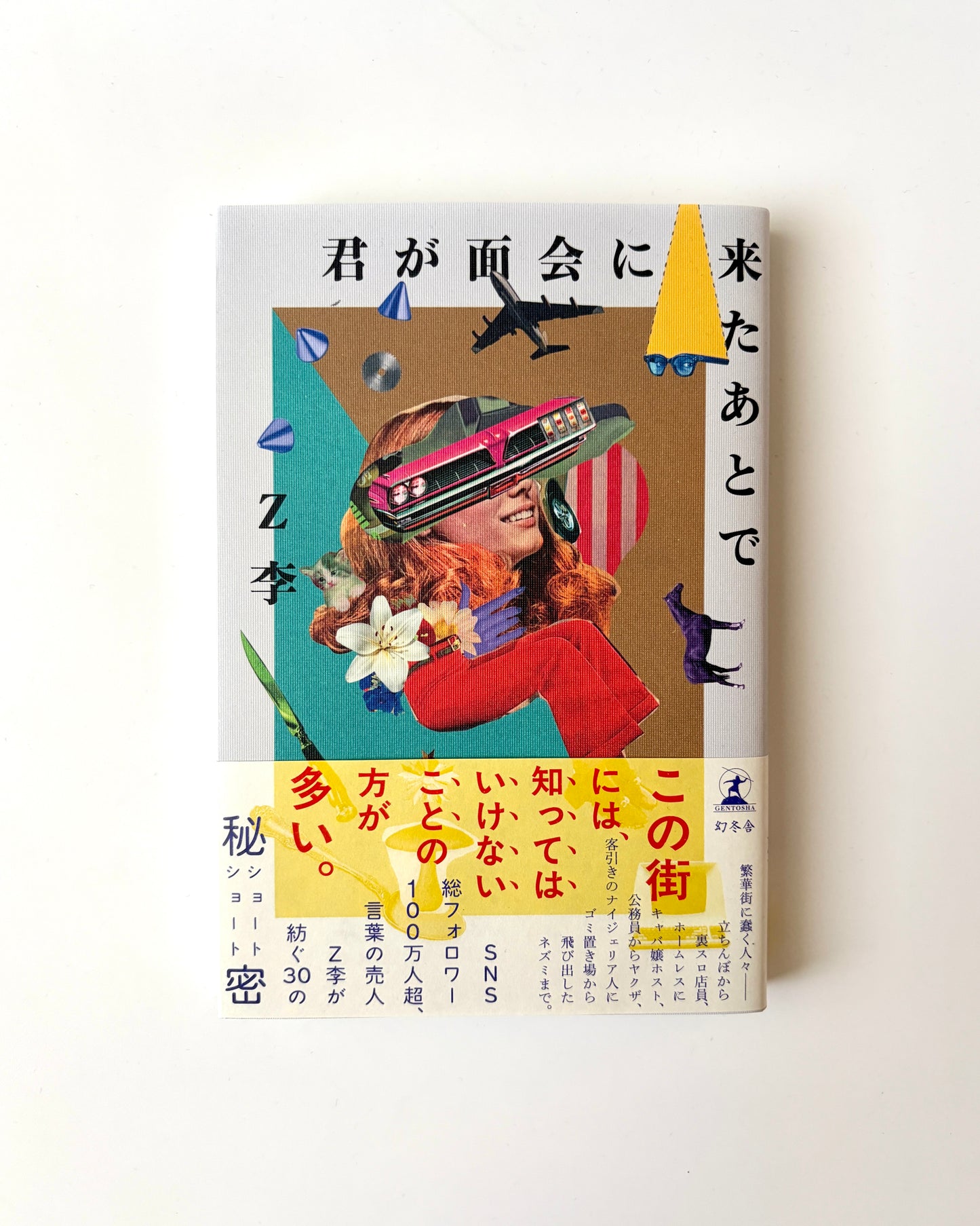 Z李「君が面会に来たあとで」