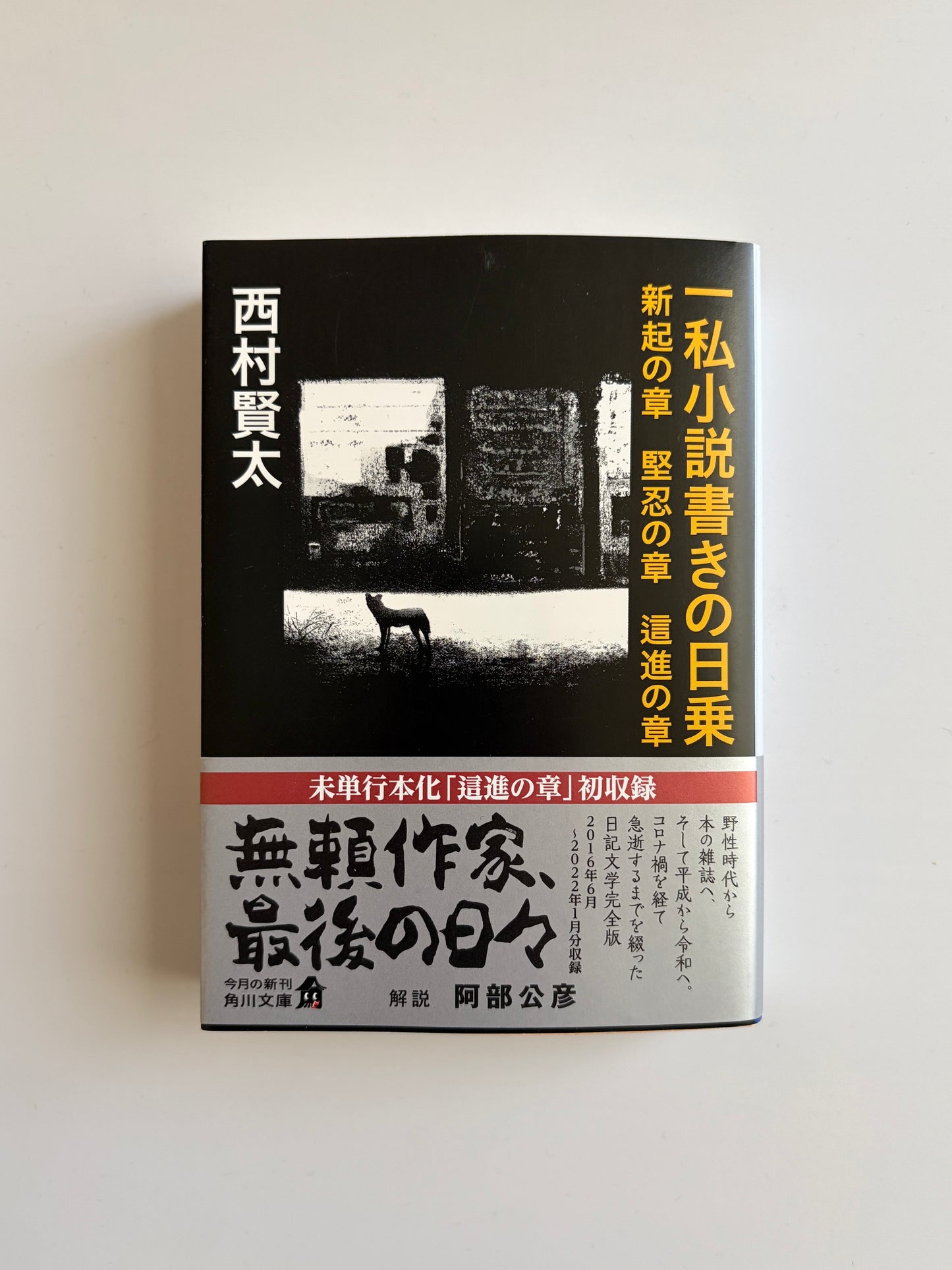 西村賢太「一私小説書きの日乗〜新起の章 堅忍の章 這進の章」