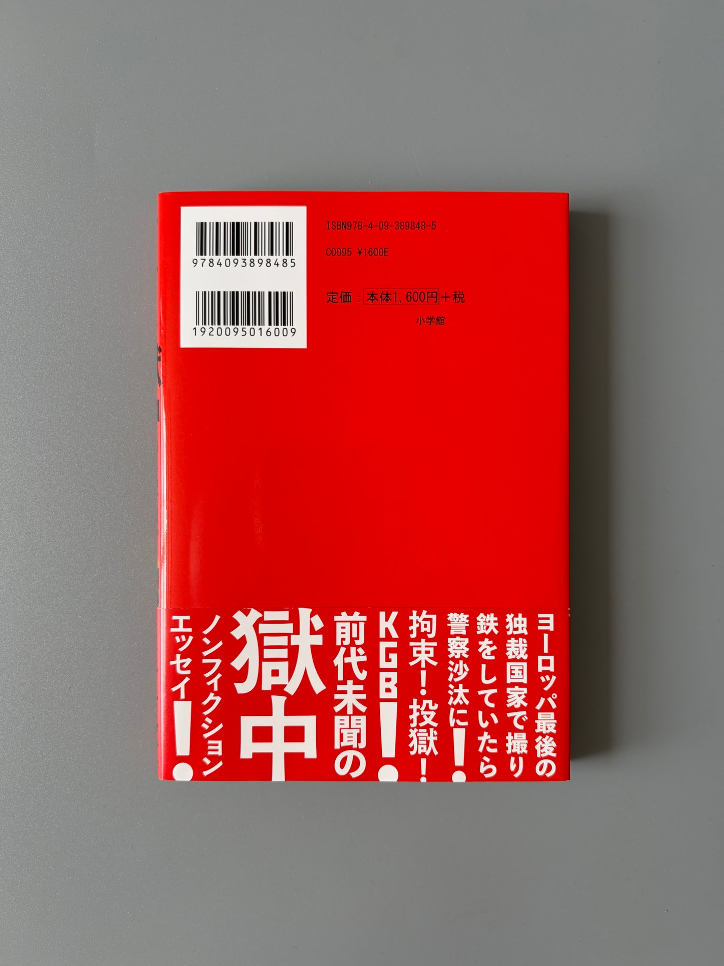照井希衣「ベラルーシ獄中留学記」